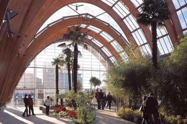 Sheffield Winter Garden