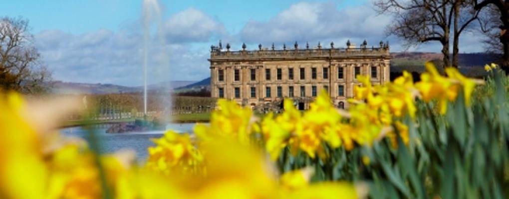 RHS Chatsworth Flower Show at Chatsworth House