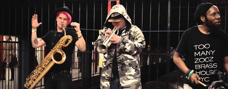 Too Many Zooz