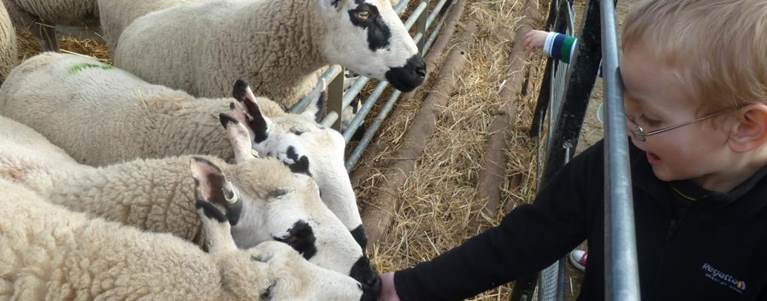 Free Family Things To Do In Sheffield