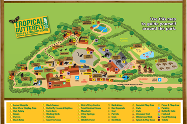 Tropical Butterfly House