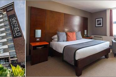 Sheffield Metropolitan: Pet-Friendly Getaway
