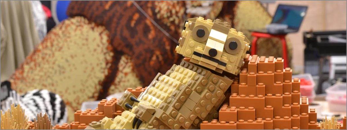 It's time for a wild adventure as the city centre goes 'on safari'!