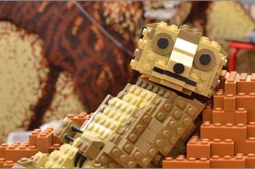 It's time for a wild adventure as the city centre goes 'on safari'!