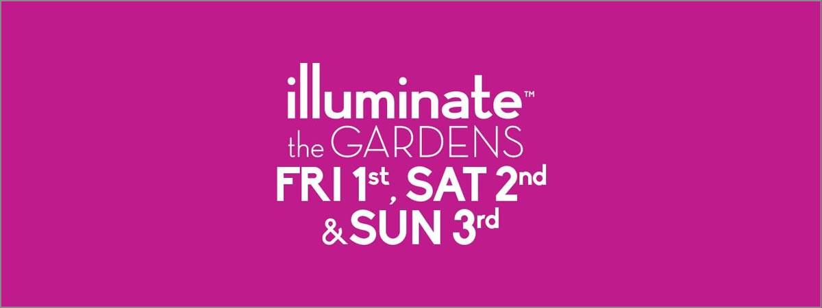 Illuminate The Gardens 2024